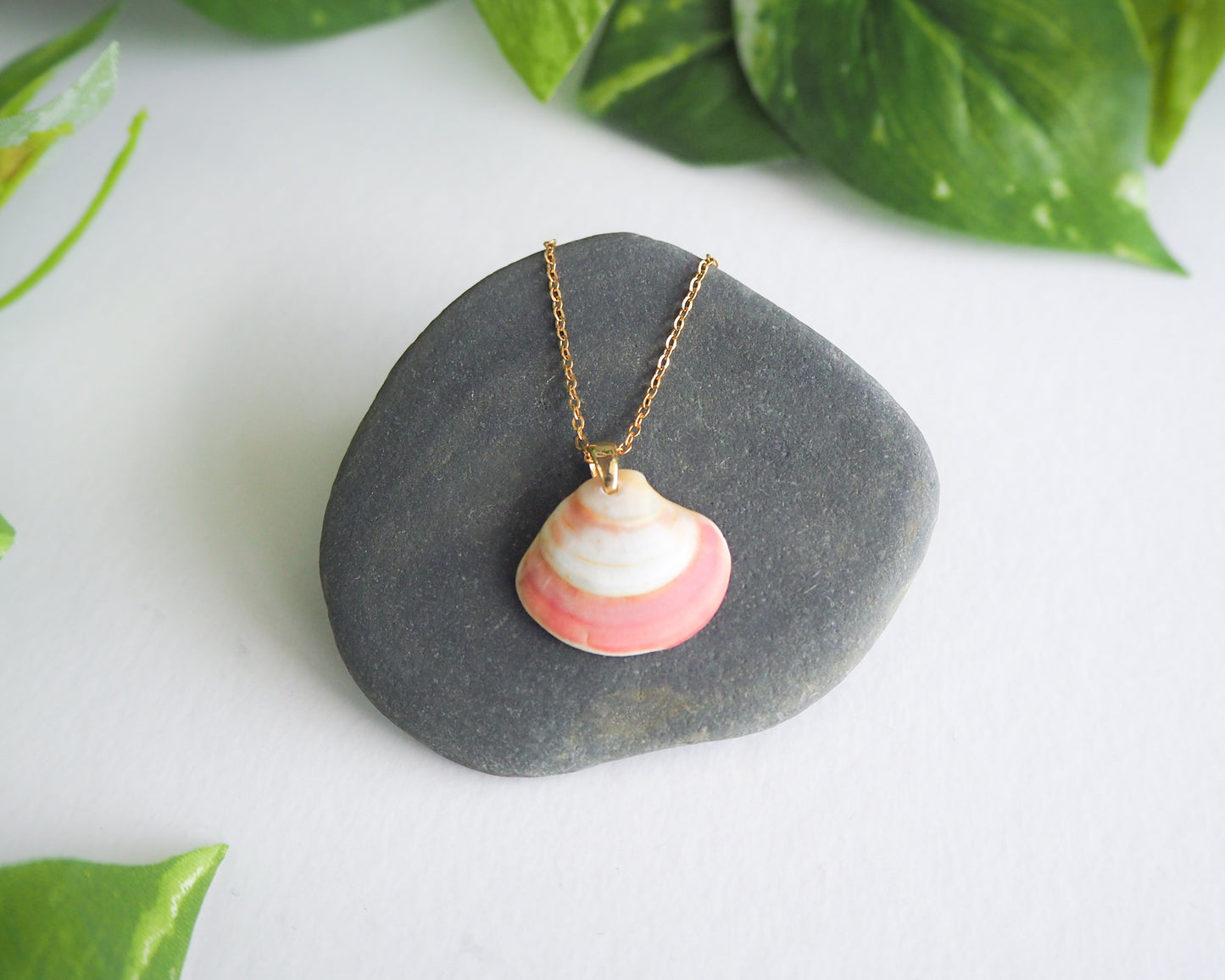 Pink White Venus Shell Gold Necklace from Portugal, Real Shell Jewelry, Sea by Lou, seabylou, Beach Girl Jewelry