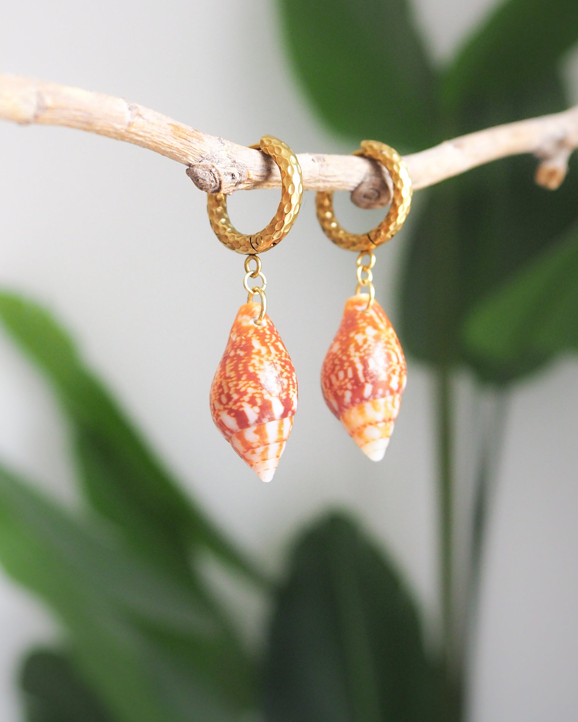 Gold Rustic Dove Shell Earrings close up