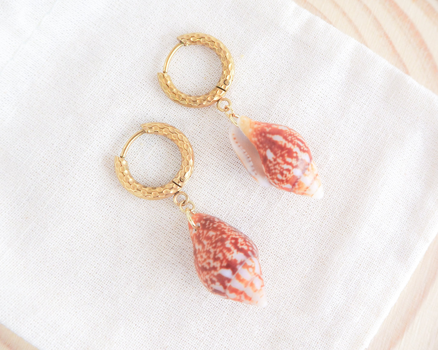 Gold Rustic Dove Shell Earrings on display
