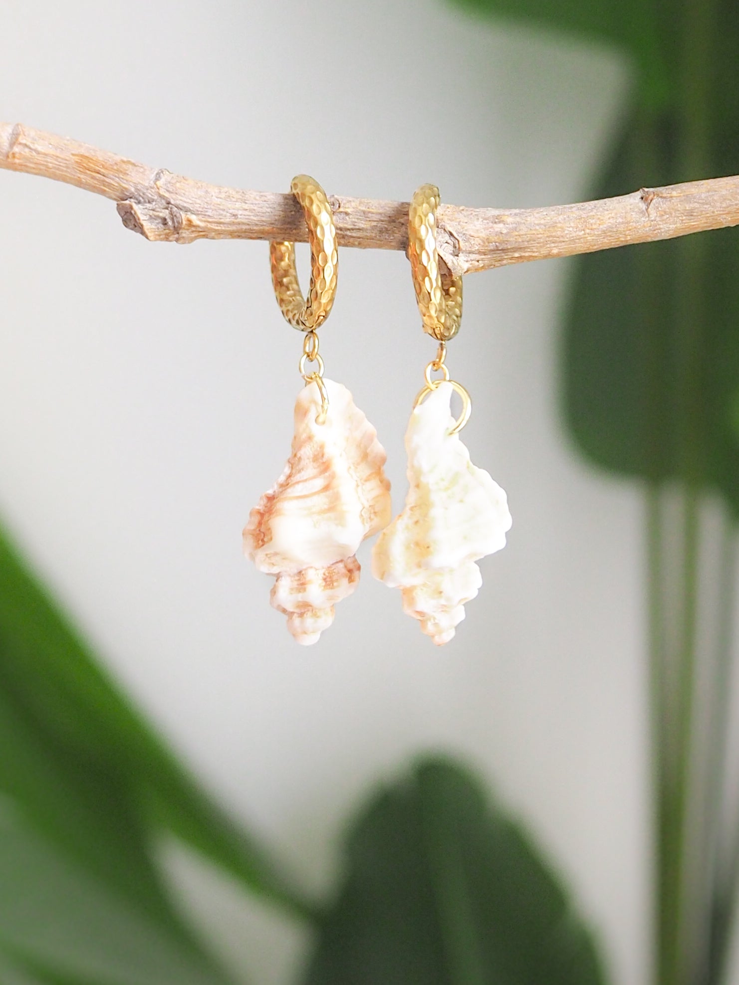 Gold Sting Winkle Shell Earrings with Gold Hoop Hooks close up 