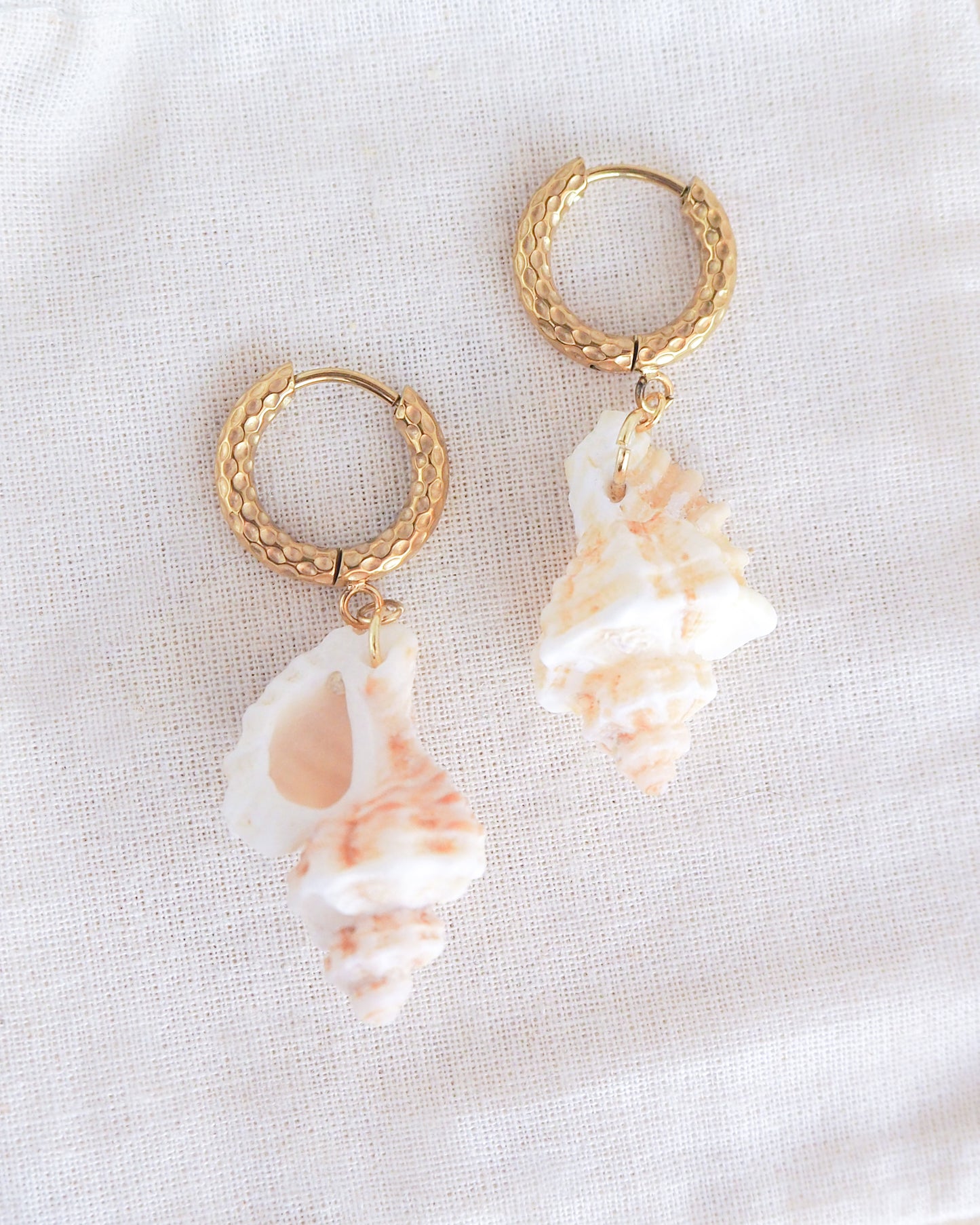 Gold Sting Winkle Shell Earrings with Gold Hoop Hooks front view on display
