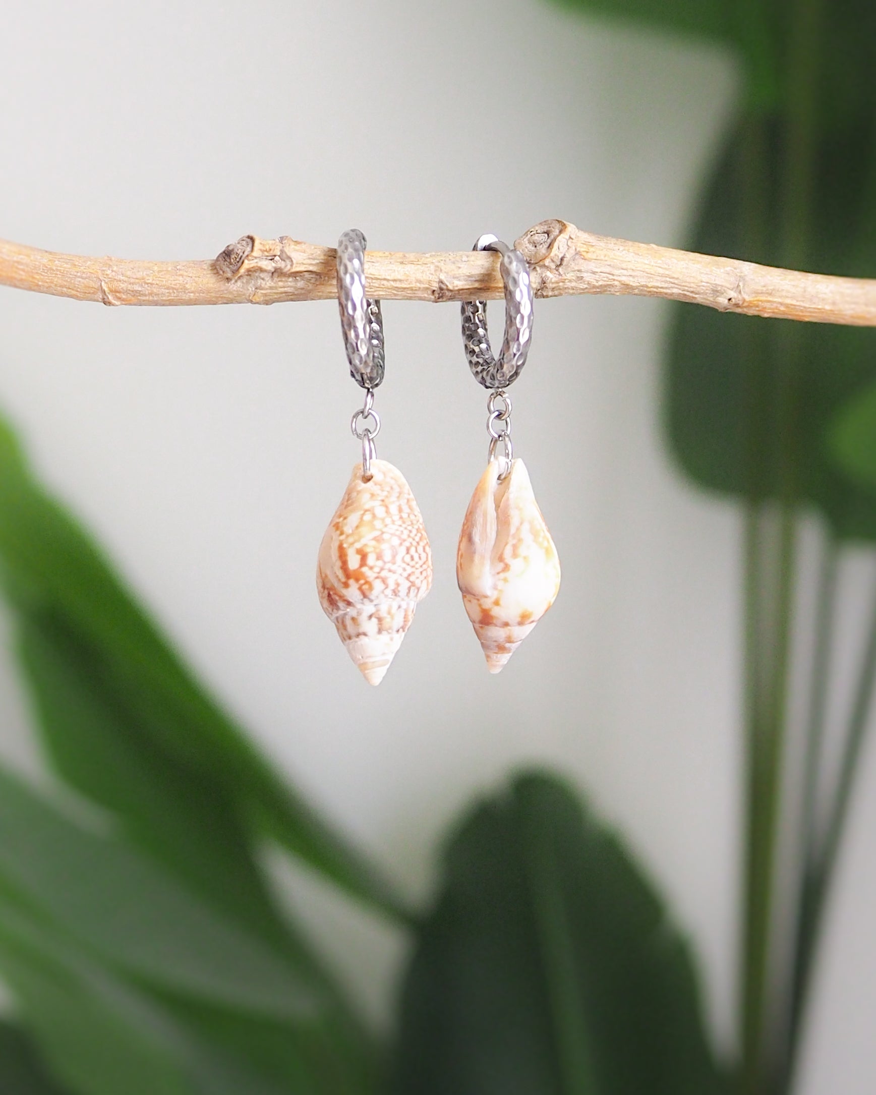 Rustic Dove Shell Earrings with Silver Hoop Hooks