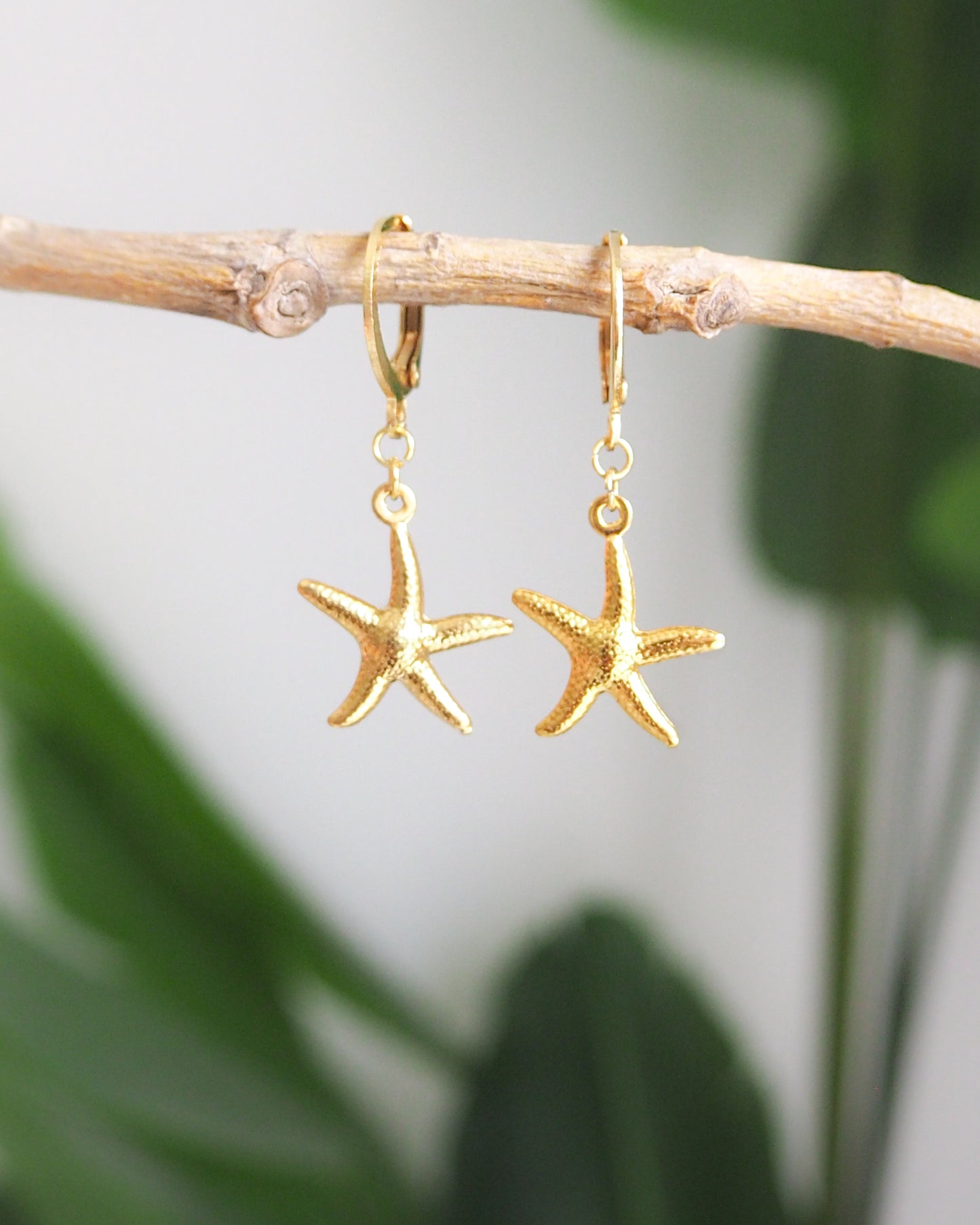 SEA STAR EARRINGS - Gold