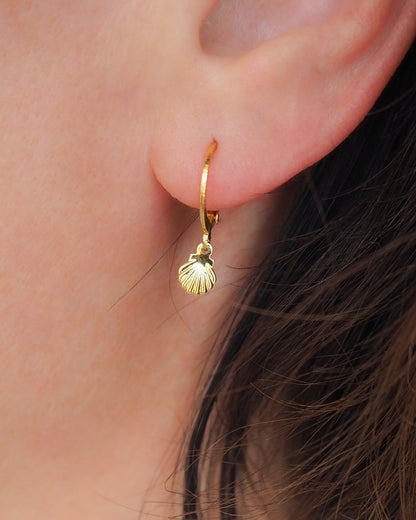 Gold Tiny Shell Earrings Close up 