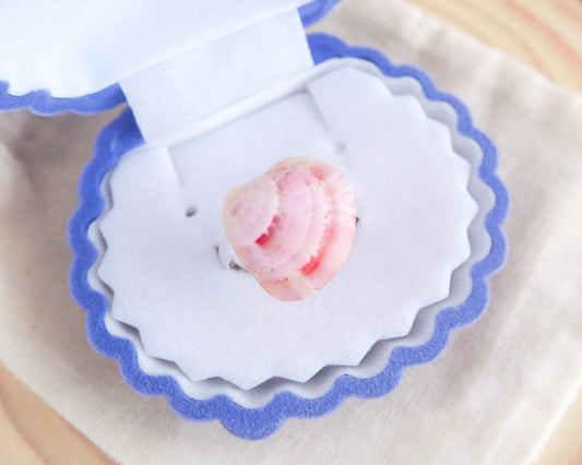 Real Pink Shell Ring in box, Sea by Lou, Venus Shell Ring, adjustable ring on display, mini seashell ring, shell from portugal, beach girl gift from portugal