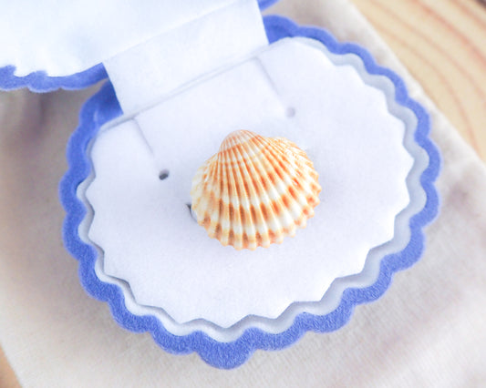 Mini Mediterranean Cockle Shell Ring from Portugal