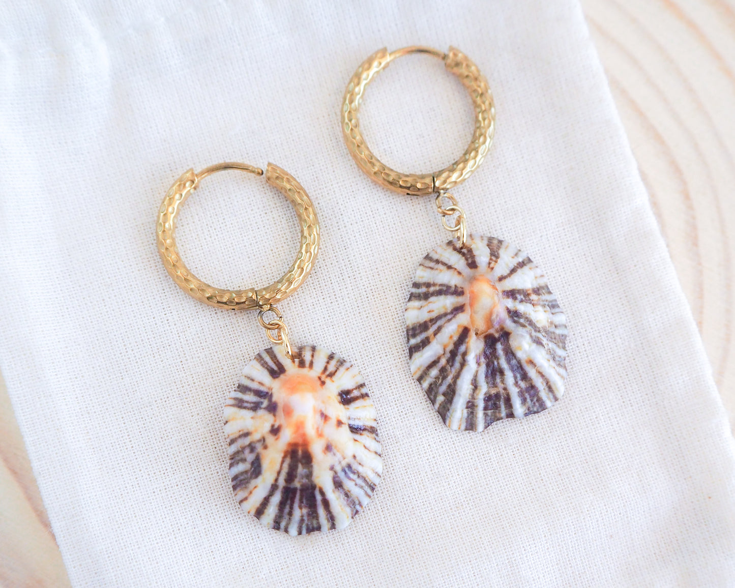 Gold Limpet Shell Earrings on display