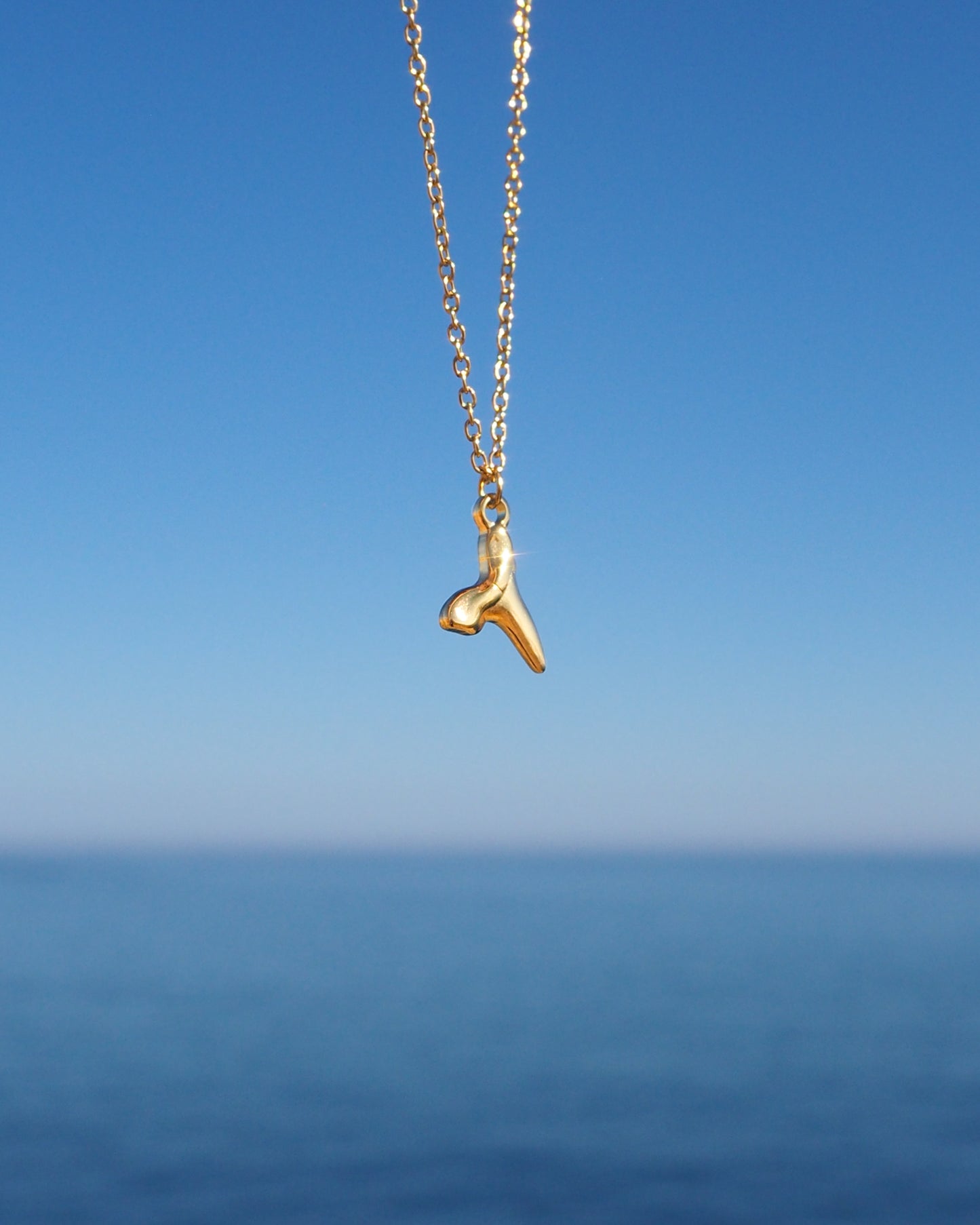 SHARK TOOTH NECKLACE ~ Gold