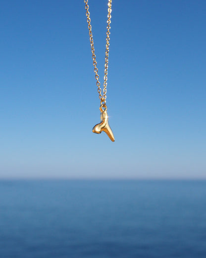 SHARK TOOTH NECKLACE ~ Gold