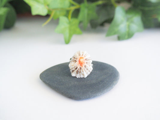 SEASHELL RING ~ Silver Limpet Shell II