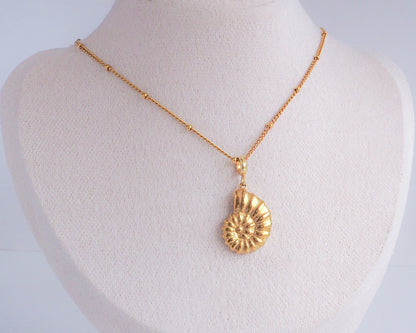 Nautilus Seashell Gold Necklace, Seabylou pendant on jewelry display