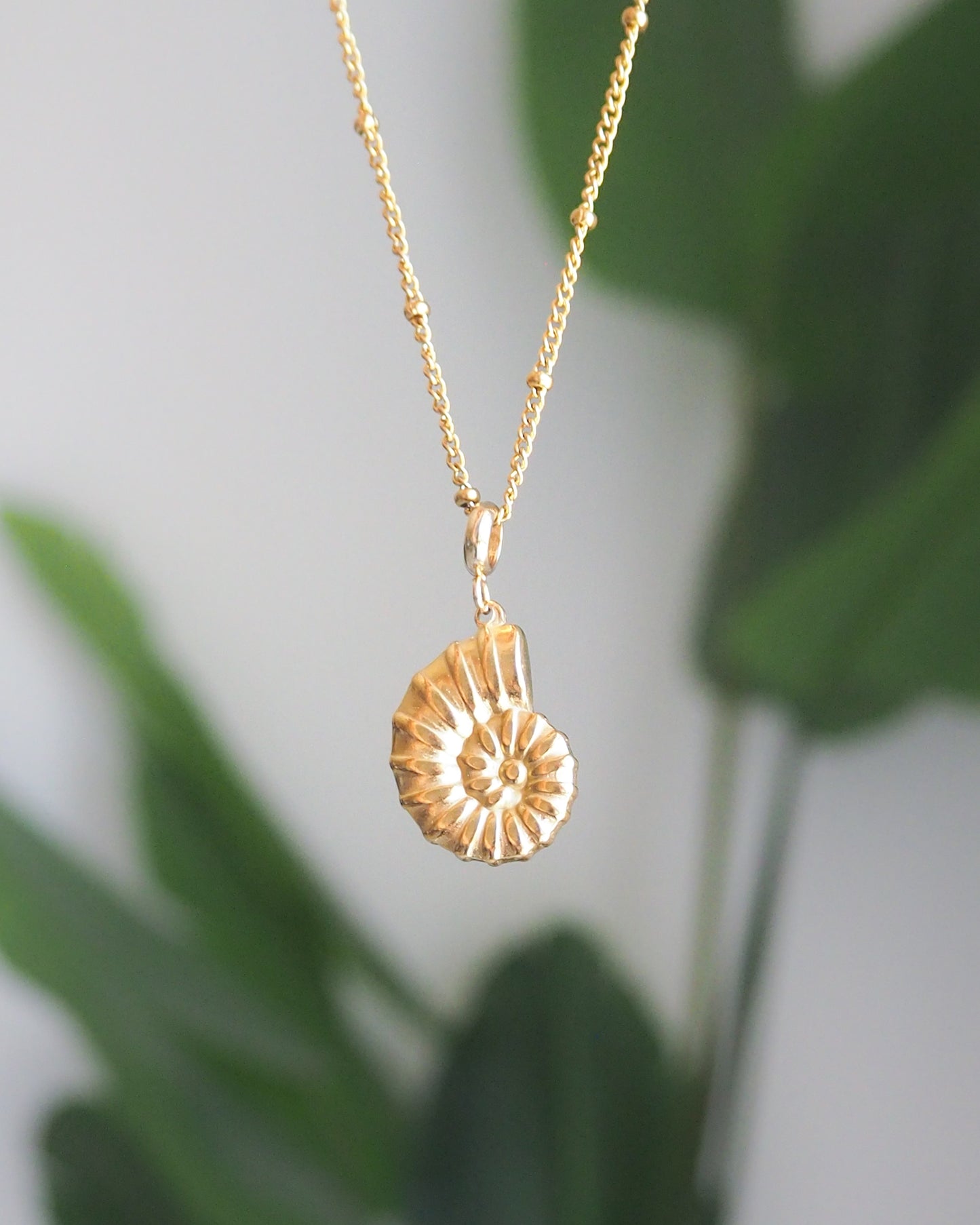 SEABYLOU Nautilus Seashell Necklace ~ Gold