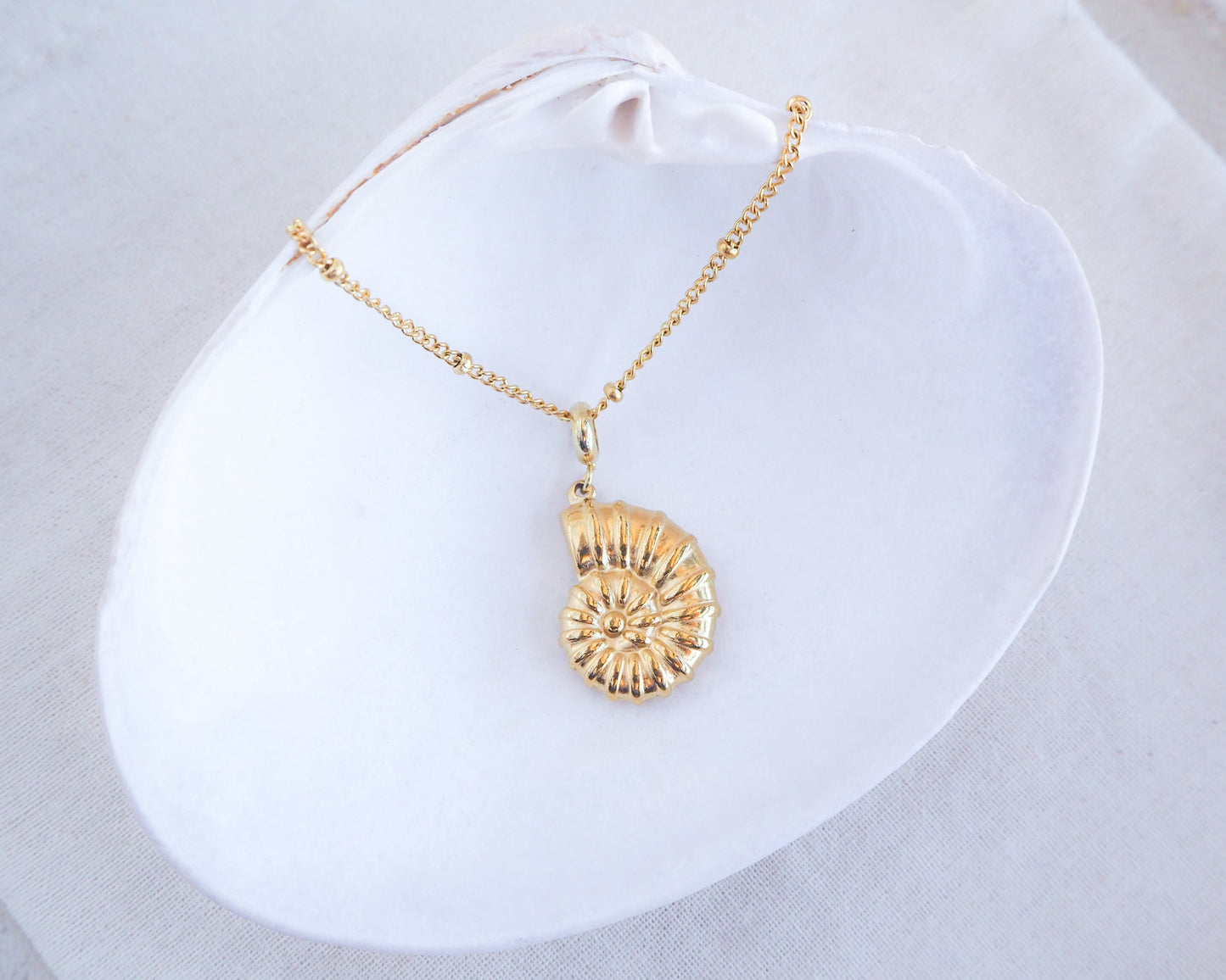 SEABYLOU Nautilus Seashell Necklace ~ Gold