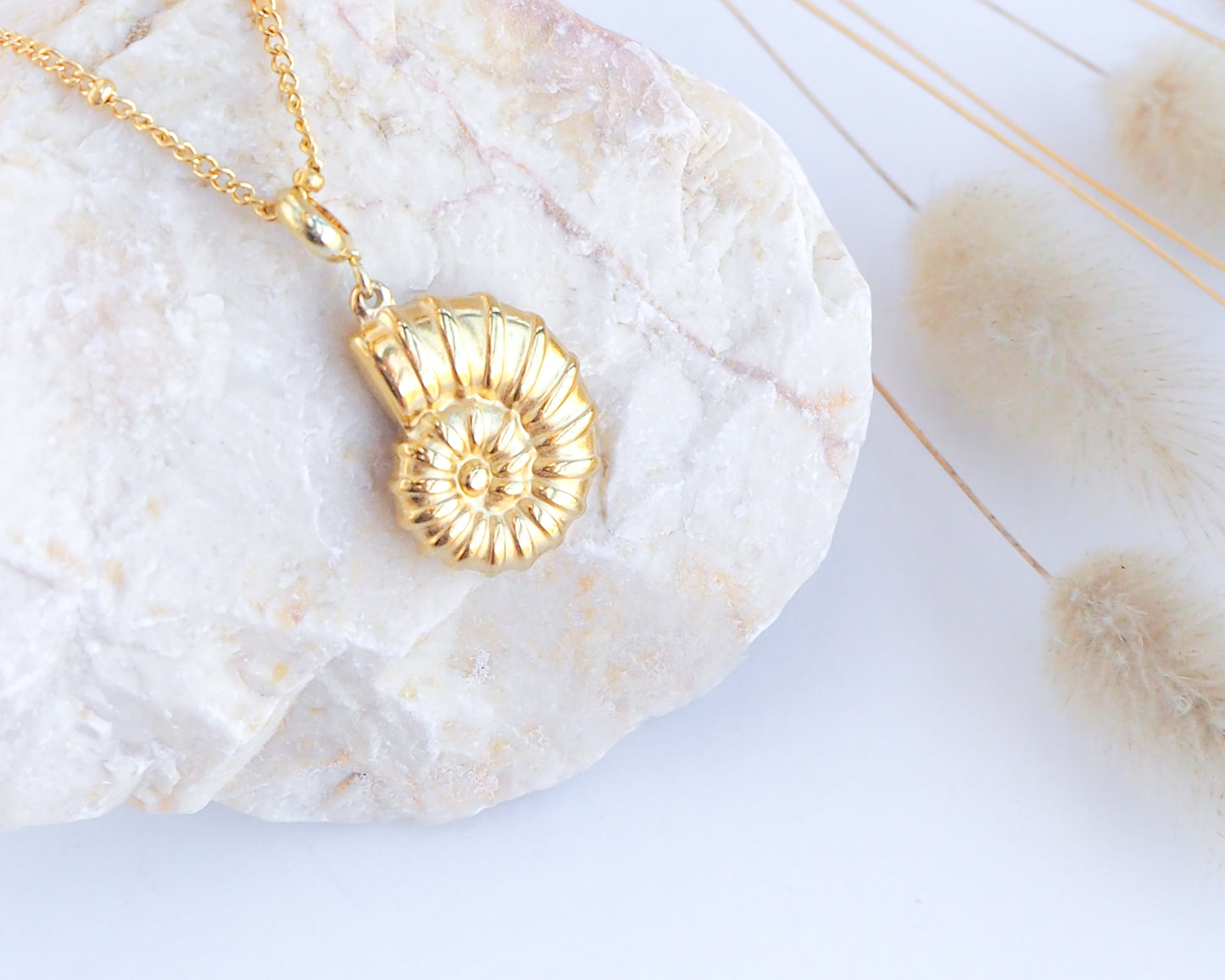 SEABYLOU Nautilus Seashell Necklace ~ Gold