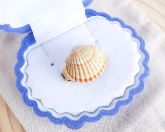 Sunny Shell Mediterranean Cockle Gold Ring in box,  Seabylou 