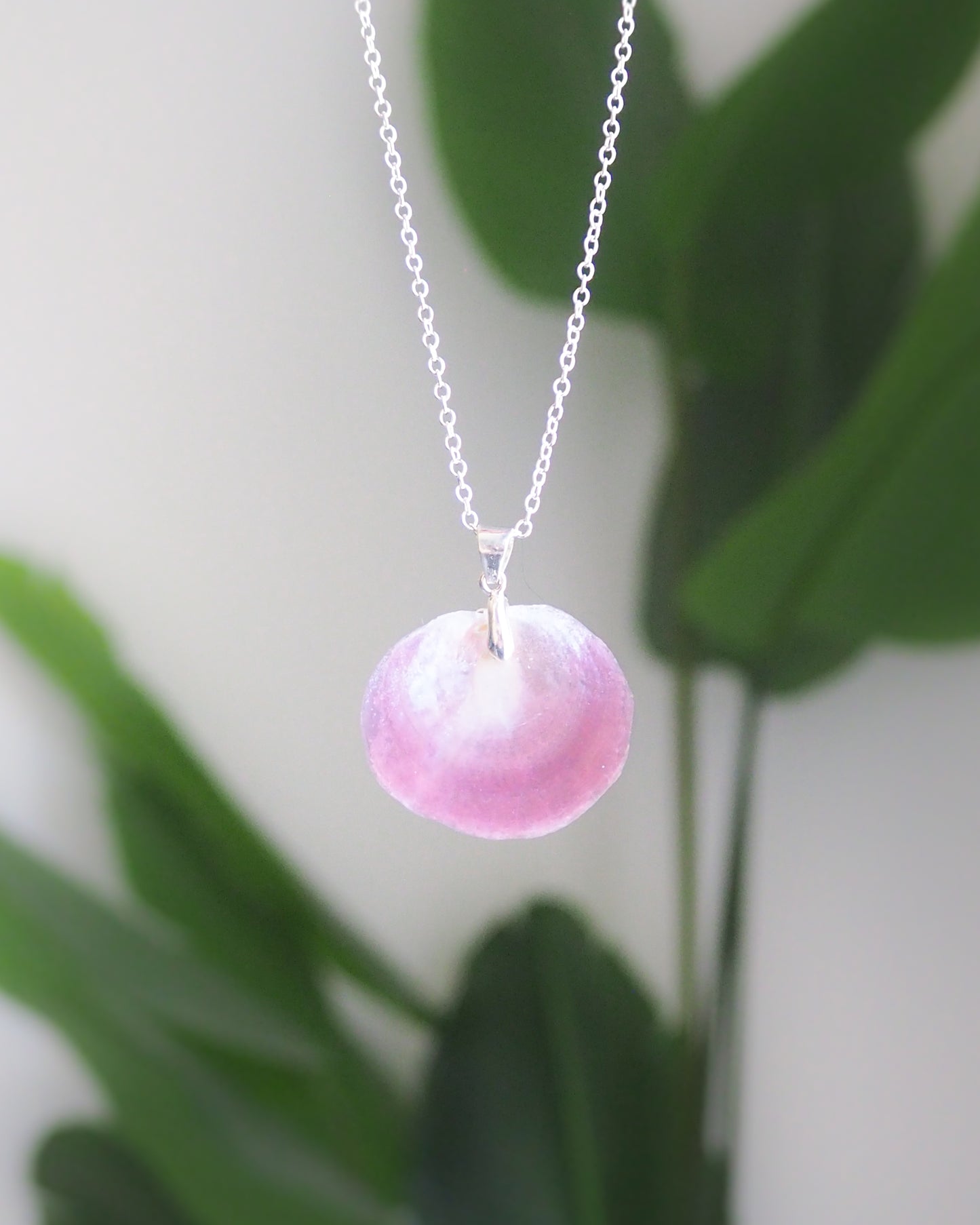 Pink Jingle Shell 925 sterling silver necklace 