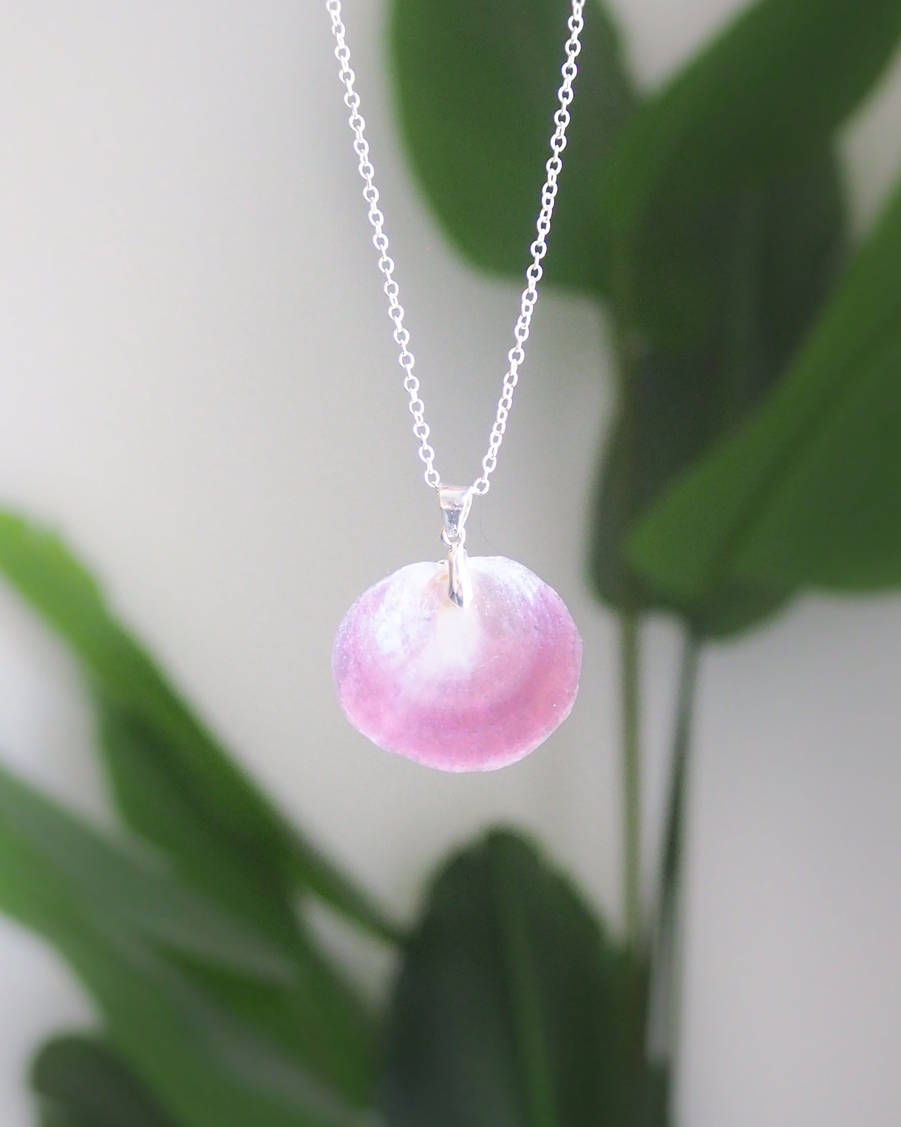 Pink Jingle Shell 925 sterling silver necklace 