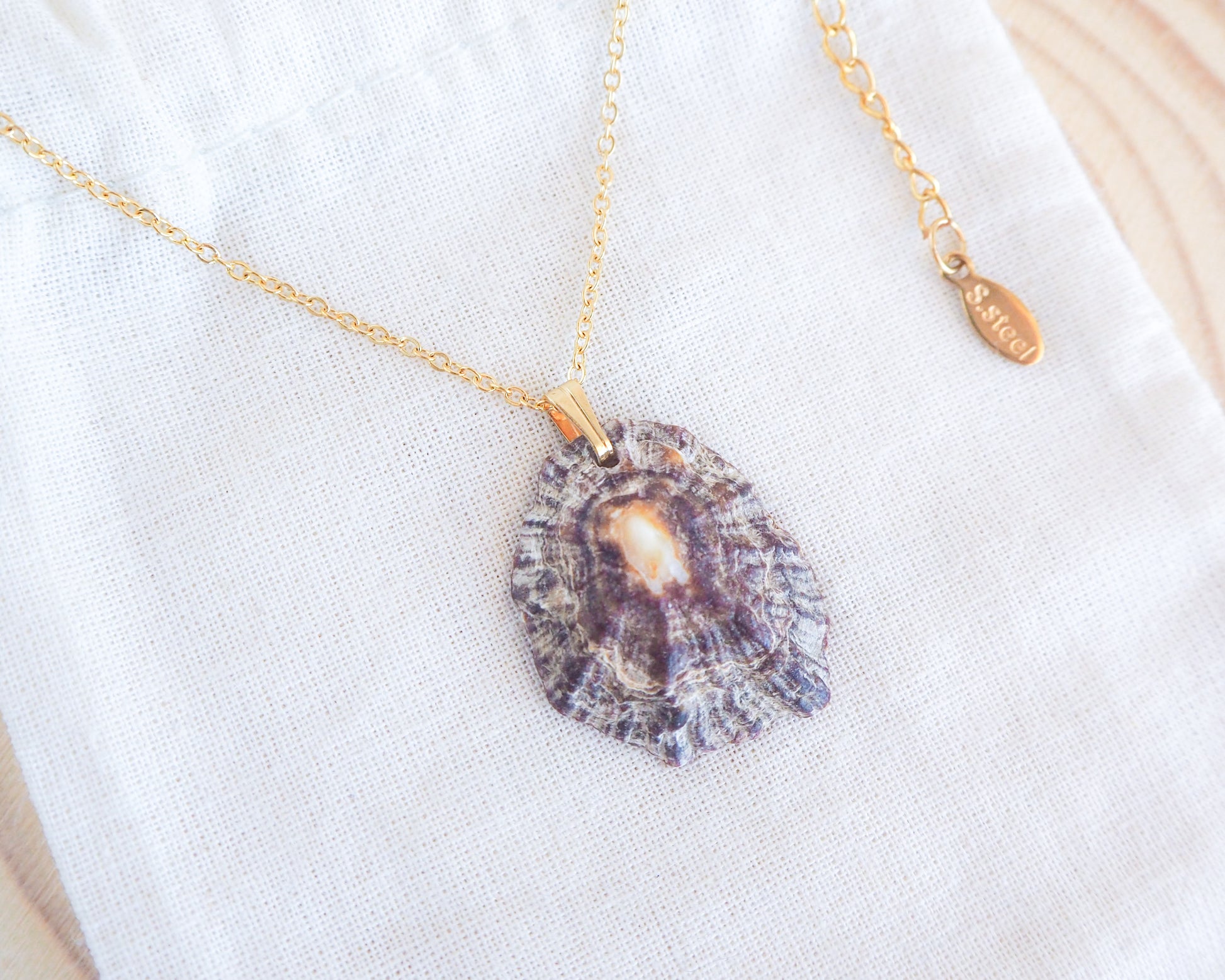 Mediterranean Limpet Shell Gold Necklace on display, Ocean Inspired Jewelry, Sea by Lou