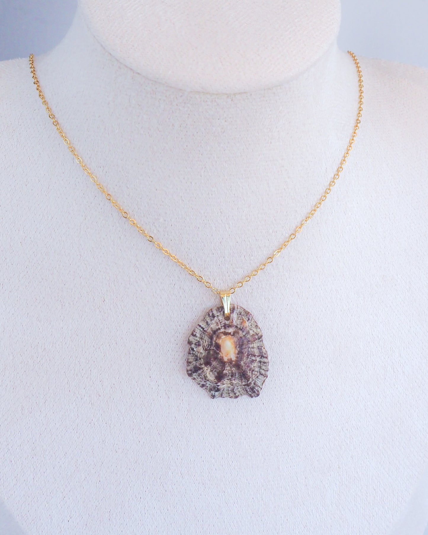 Mediterranean Limpet Shell Gold Necklace on neck, Ocean Inspired Jewelry, Sea by Lou