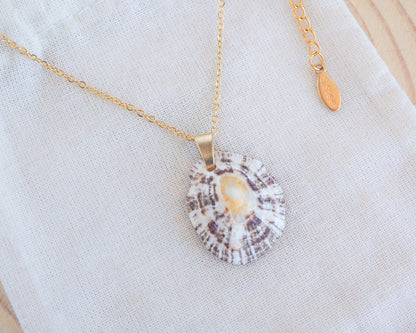 SEASHELL NECKLACE ~ Zebra Limpet Shell II