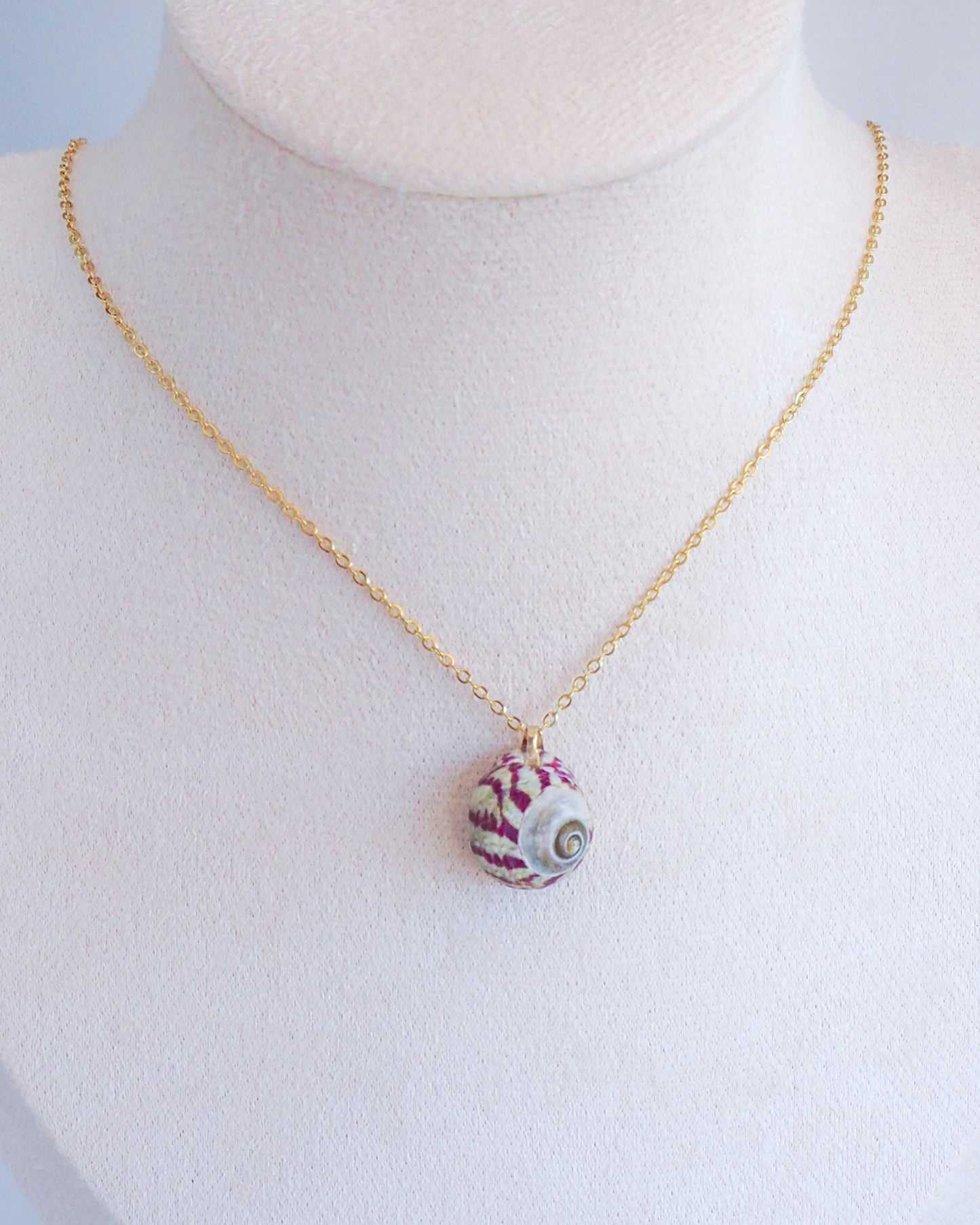 Purple Topshell Gold Necklace from Portugal on model