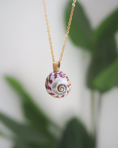 Purple Topshell Gold Necklace from Portugal