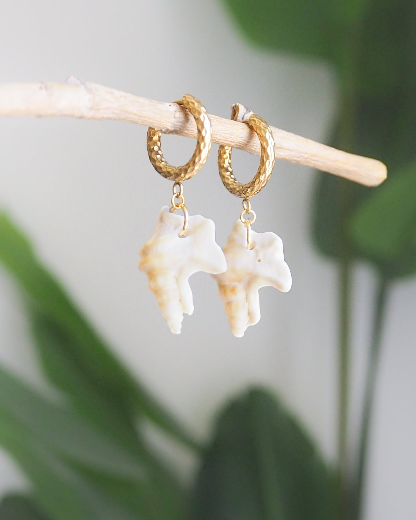 Gold Pelican's Foot Shell Earrings