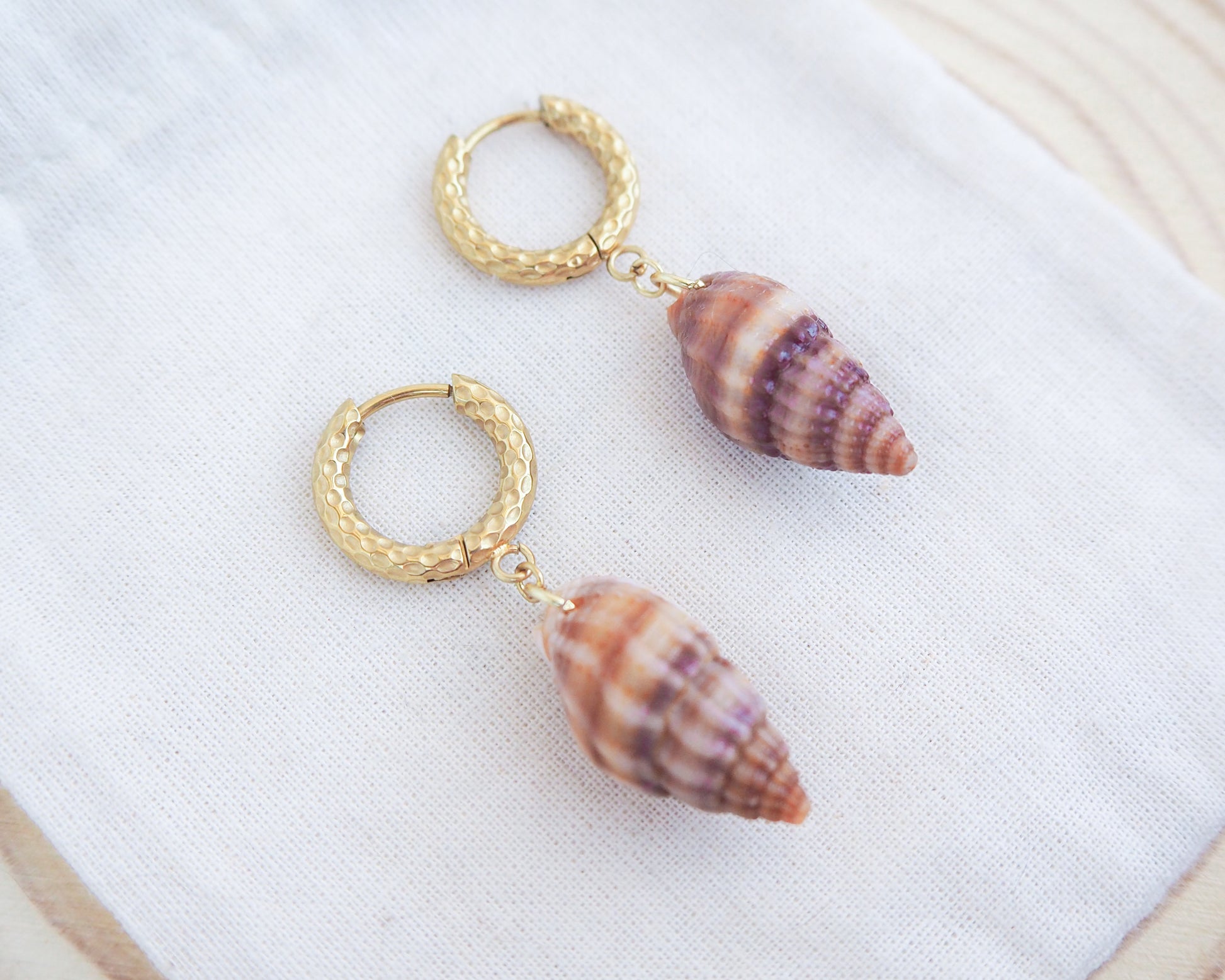 Brown Netted Dogwhelk Shell Gold Earrings with Gold Hoops on display