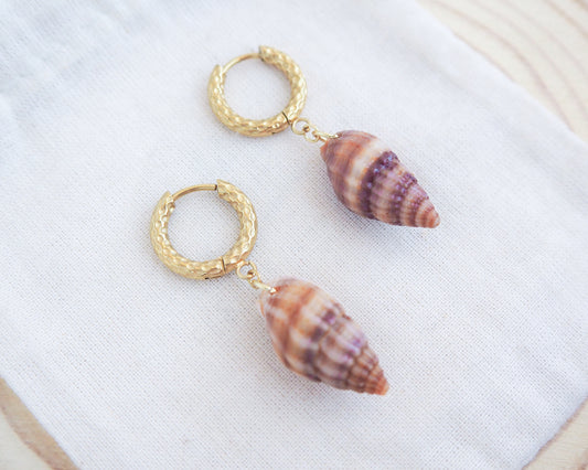 Brown Netted Dogwhelk Shell Gold Earrings with Gold Hoops on display