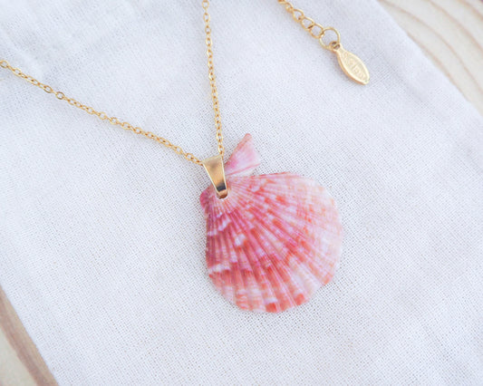 Pink Scallop Shell Gold Necklace on display, Real shell from Portugal