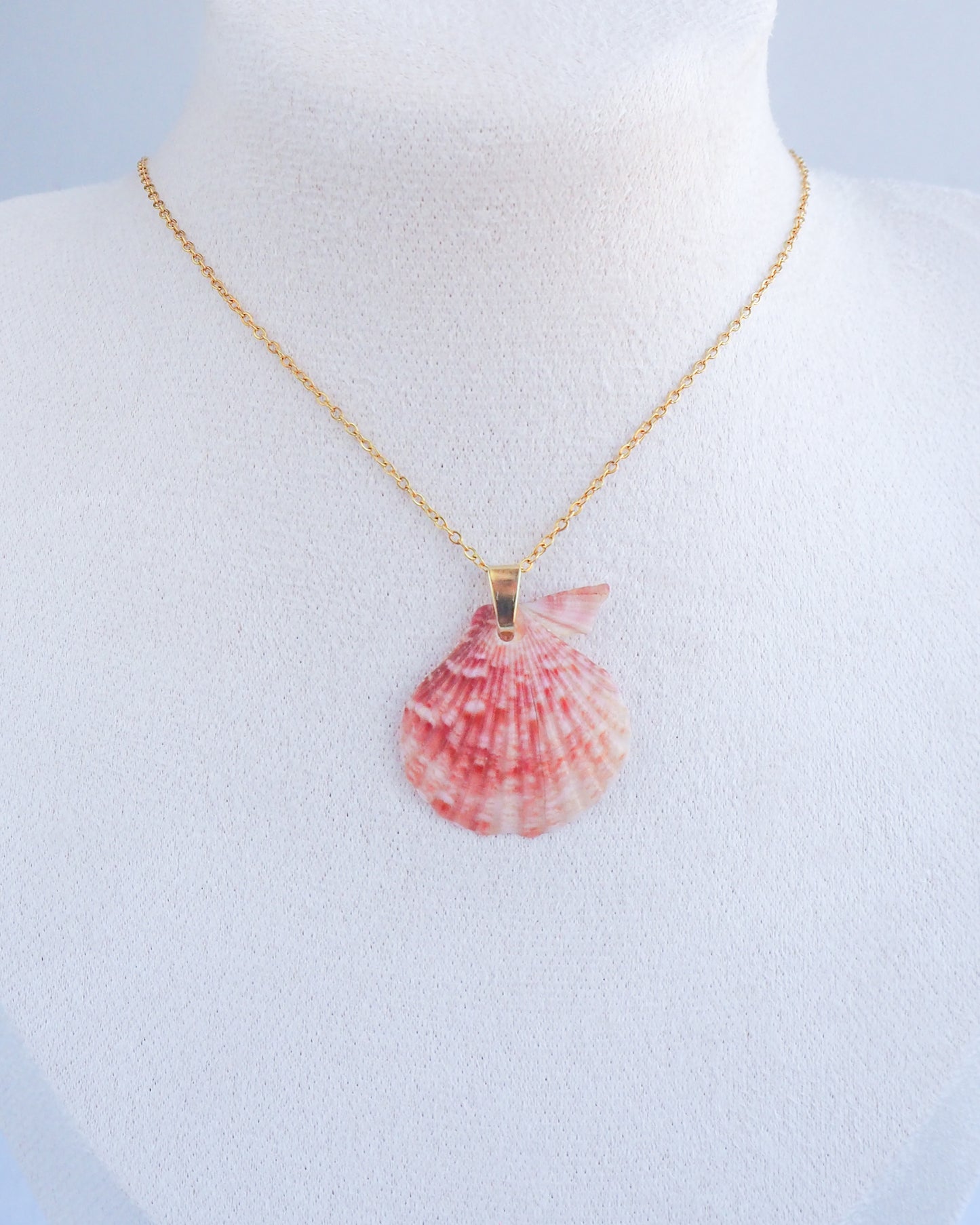 Pink Scallop Shell Gold Necklace on display neck, Real shell from Portugal