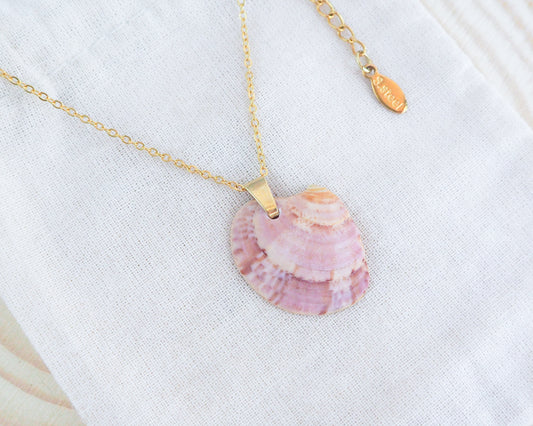 Rose Pink Venus Shell Necklace with Gold Chain