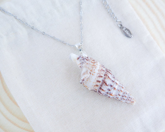 SEASHELL NECKLACE ~ Silver Horn Shell