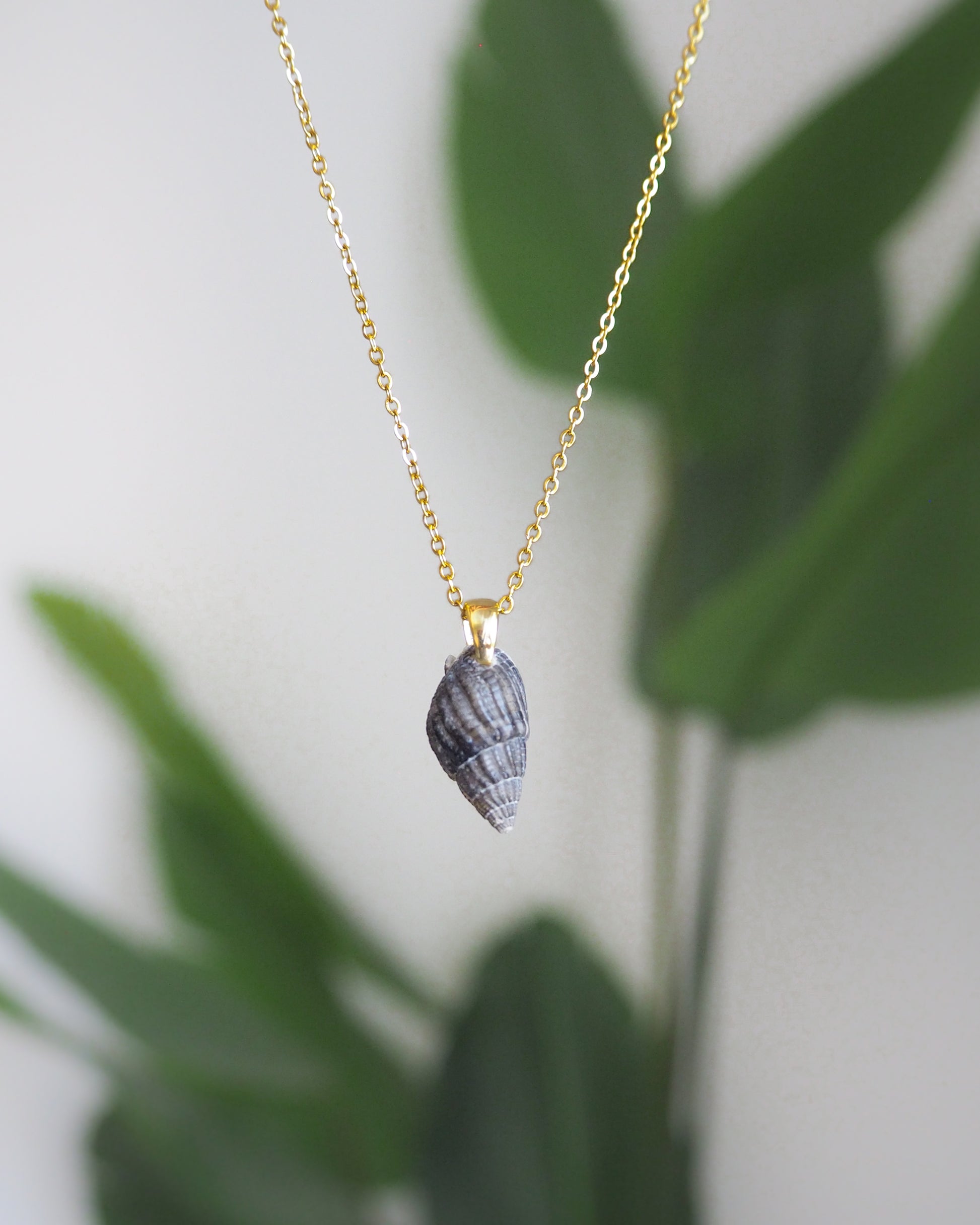 Tiny Dark Shell Necklace, Gold Plated Chain, Netted Dogwhelk Shell from Portugal front view