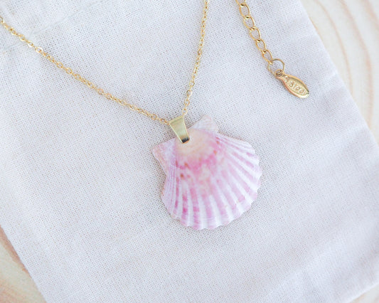 Soft Pink Scallop Shell Necklace