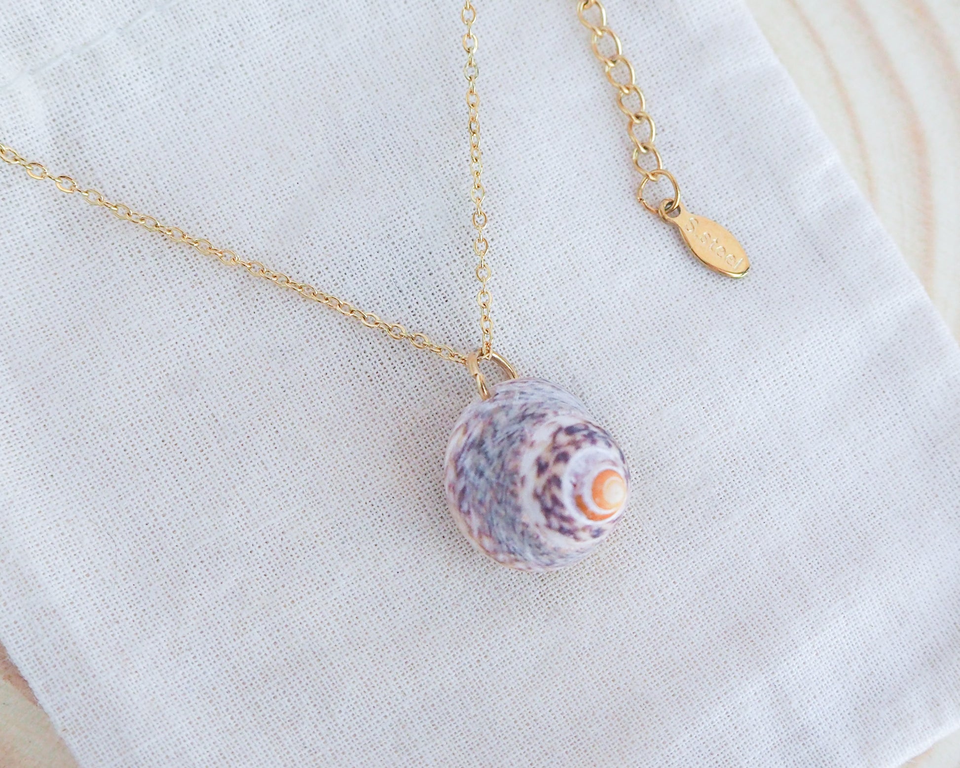 Lined Top Shell Gold Necklace, Shell from Portugal side view