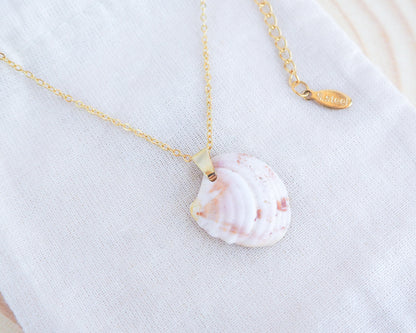 SEASHELL NECKLACE ~ Soft Peach Venus Shell II