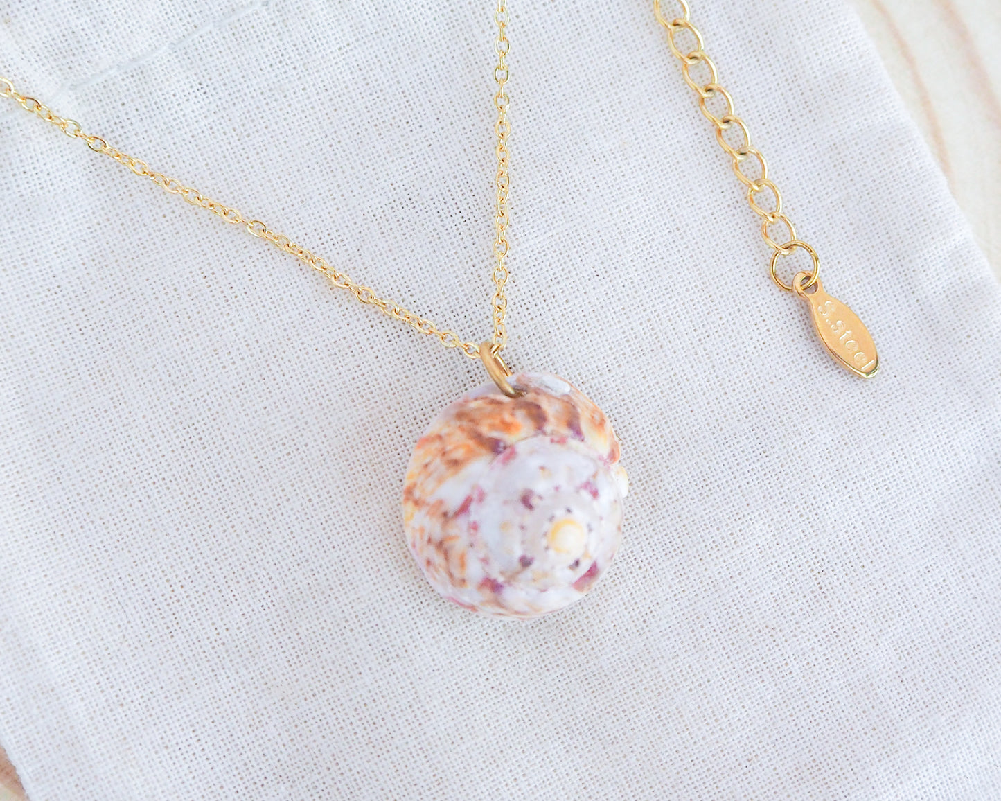 SEASHELL NECKLACE ~ Sunny Orange Magus Shell