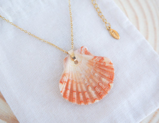 Pilgrims Scallop Shell Necklace on display