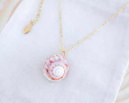 SEASHELL NECKLACE ~ Summer Sun Magus Shell