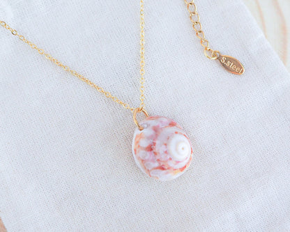 SEASHELL NECKLACE ~ Summer Sun Magus Shell