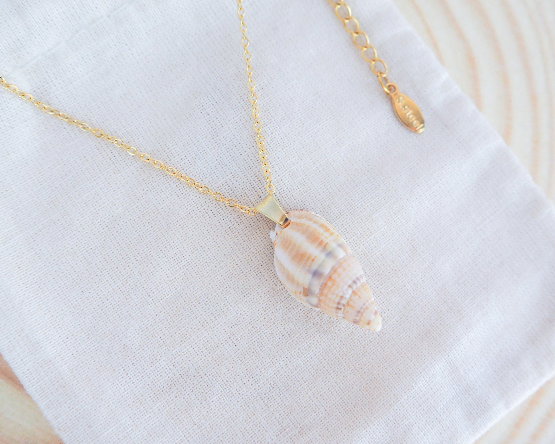 Netted Dogwhelk Shell Gold Necklace from Portugal, Seabylou, Coastal jewellery, Necklace with real shell