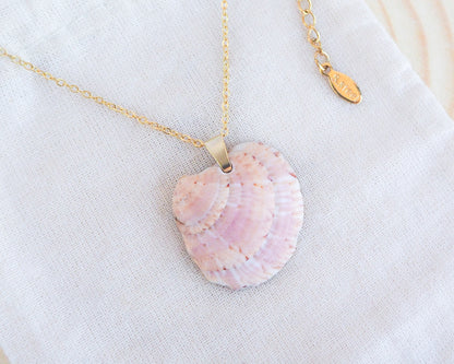 SEASHELL NECKLACE ~ Gold Sunset Pink Venus Shell