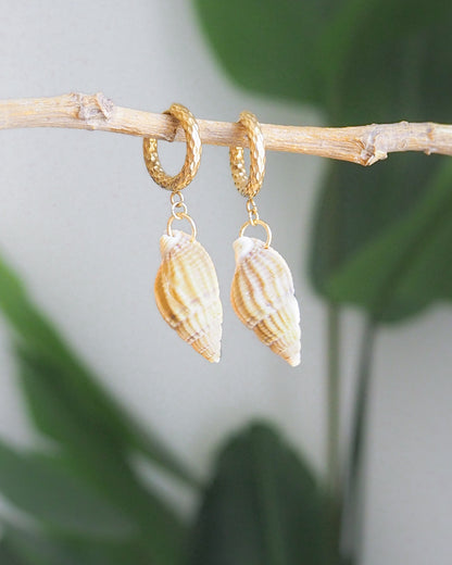 OCEAN REEF NETTED DOGWHELK SHELL EARRINGS ~ Gold II