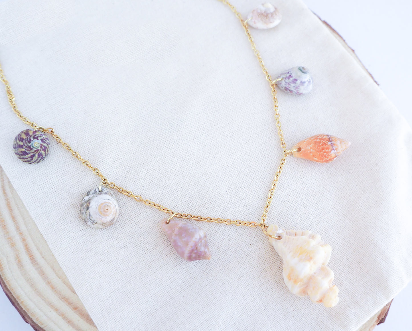 GOLD SHELL CHARM NECKLACE ~ Mix VI