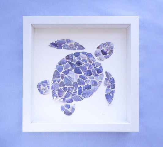 Seashell Turtle || Tartaruga ~ Blue II