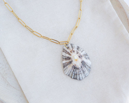 SEASHELL NECKLACE ~ Big Zebra Limpet Shell