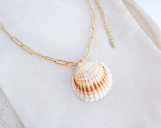 SEASHELL NECKLACE ~ Big Mediterranean Cockle Shell