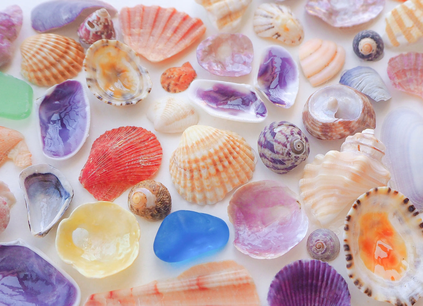 Seashell Heart ~ Rainbow Colored Shells II