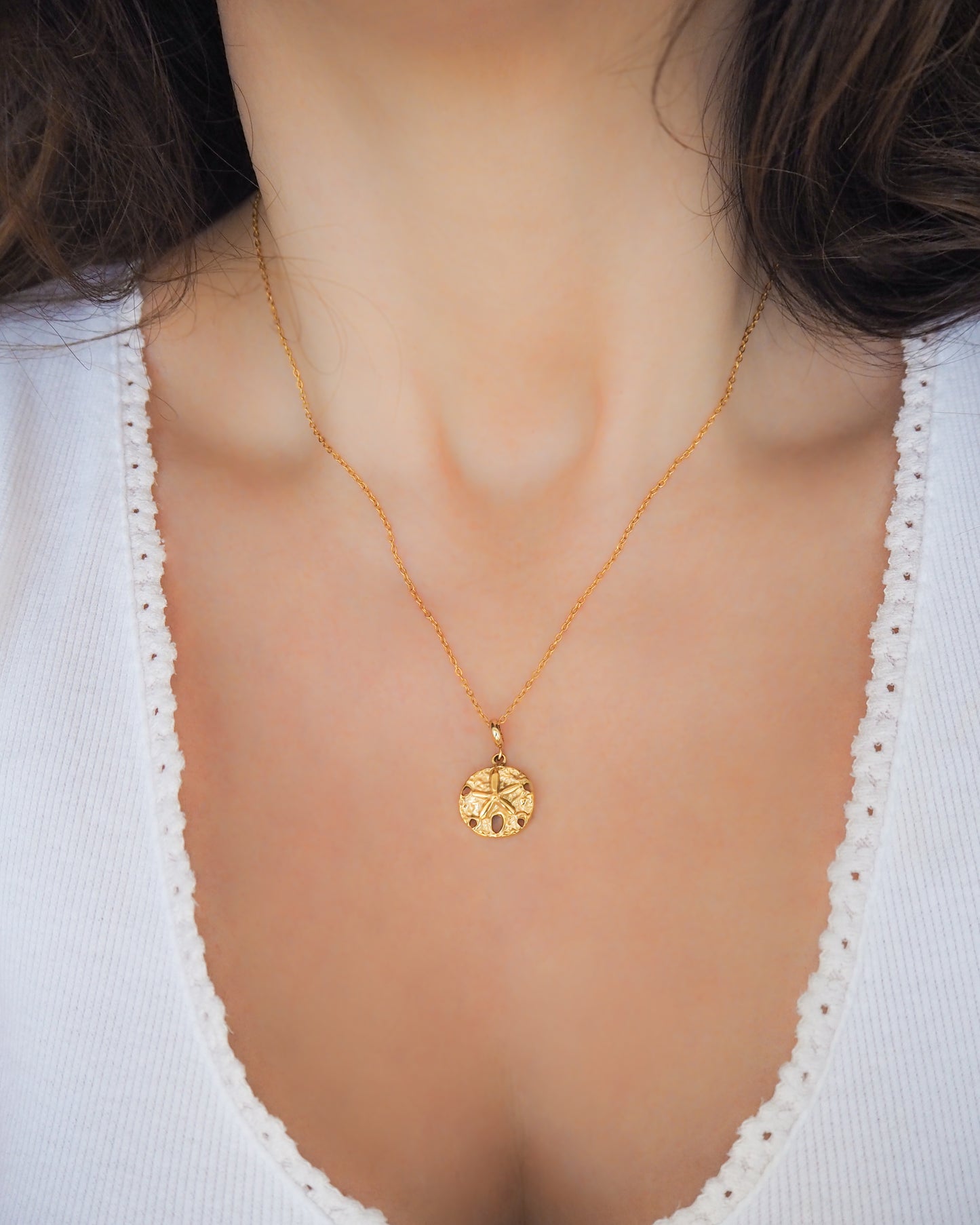 Sand Dollar Necklace Gold Chain on model front view